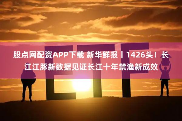 股点网配资APP下载 新华鲜报丨1426头！长江江豚新数据见证长江十年禁渔新成效