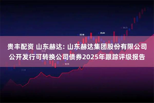 贵丰配资 山东赫达: 山东赫达集团股份有限公司公开发行可转换公司债券2025年跟踪评级报告